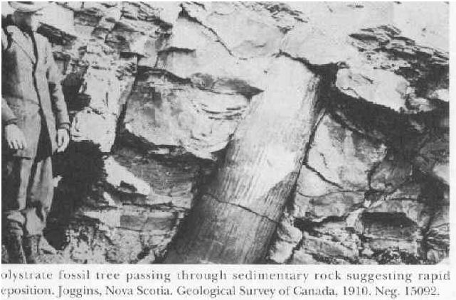 Promises and Secrets